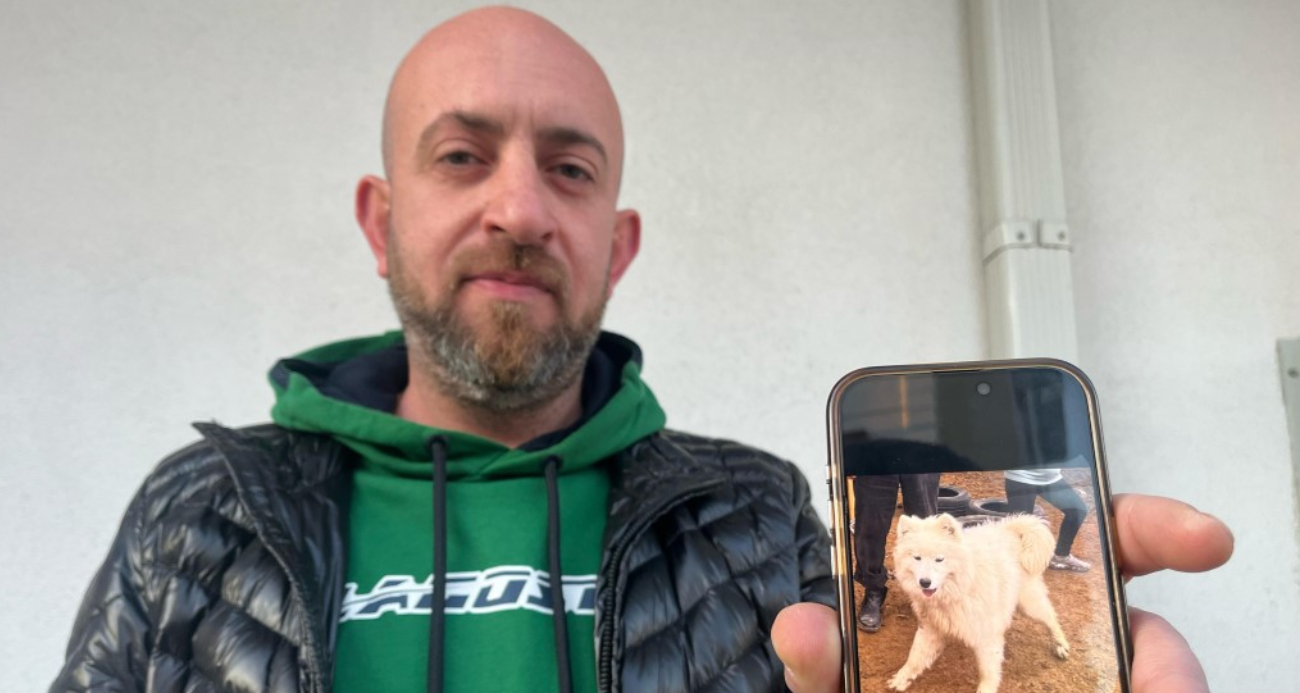 Köpeğini bulana 50 bin TL vereceğini duyuran adamın peşini dolandırıcılar bırakmıyor