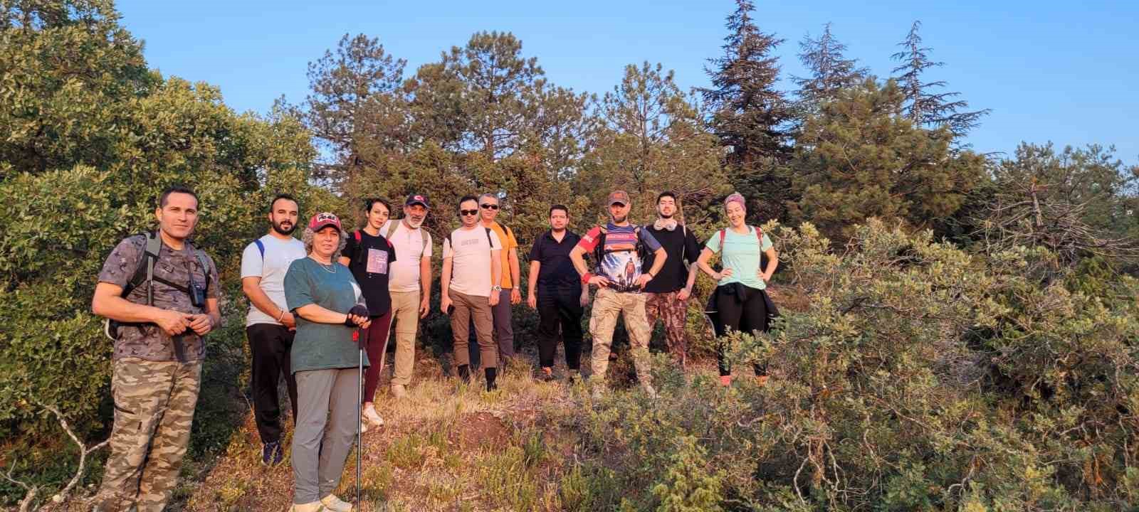 Doğada Sessiz Tanıklar: Kent Ormanında Tilki ve Tavşan Heyecanı!