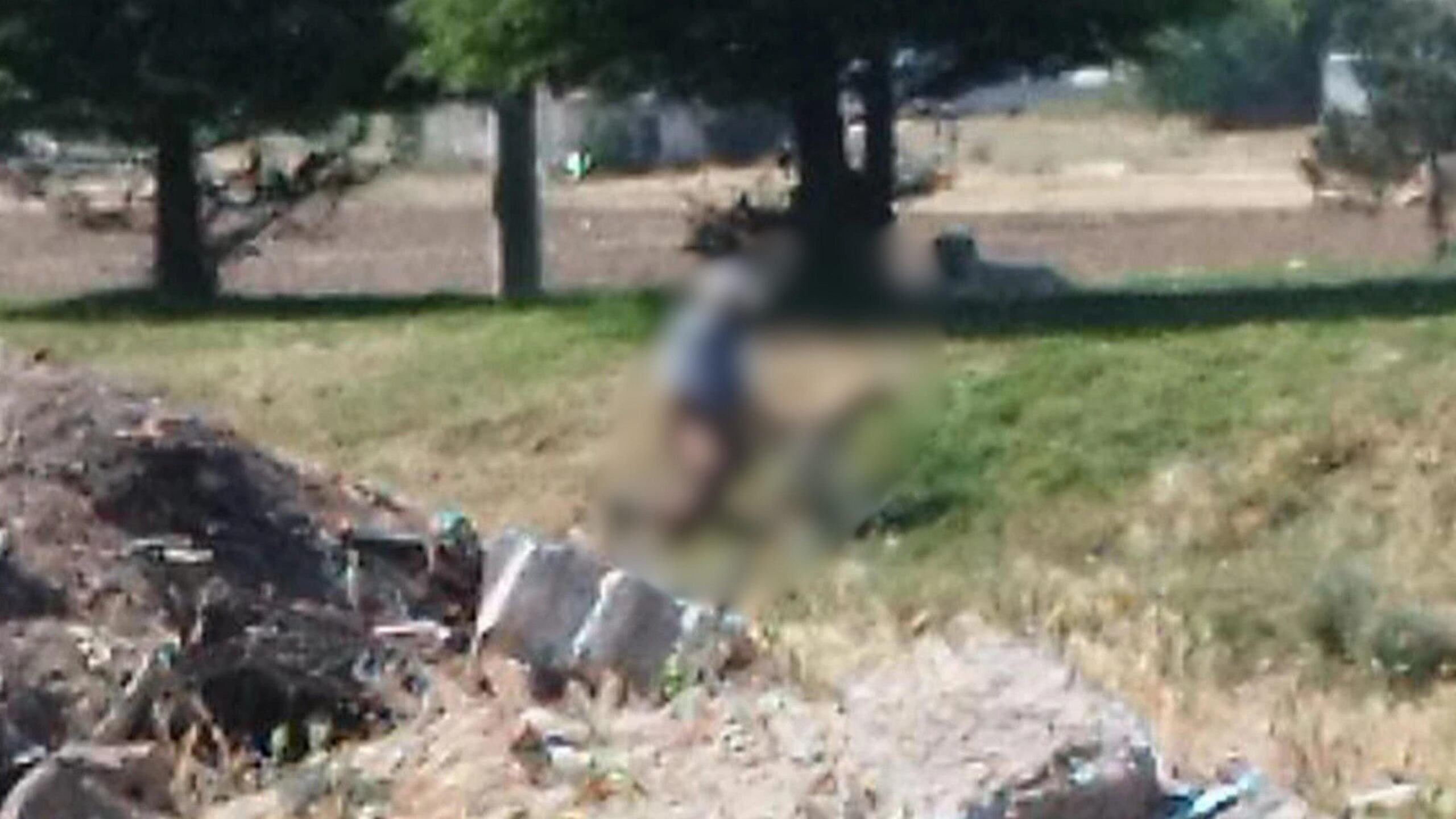 Eskişehir’de Kan Donduran Olay: Sahipsiz Köpeğe Tecavüz!