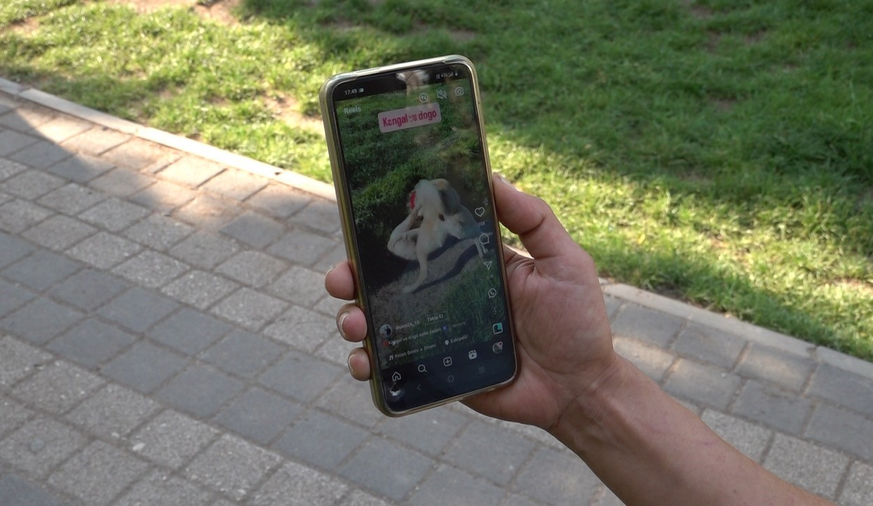 Eskişehir'i Ayağa Kaldıran Video: Kangal ve Dogo Kavgası!