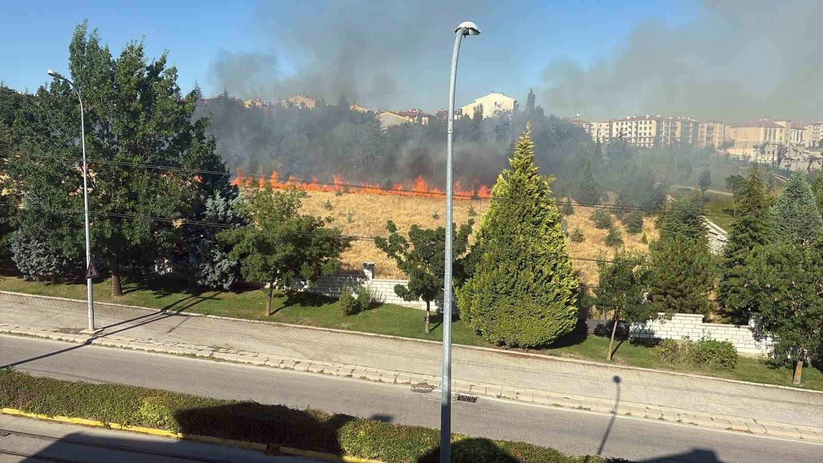 Eskişehir’de Parkta Yangın Paniği! Ağaçlar Alev Alev Yandı