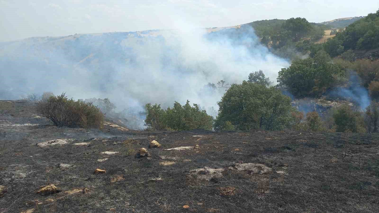 Alevler Köyü Sardı! Eskişehir’de Vatandaş Kepçeyle Yangına Koştu!
