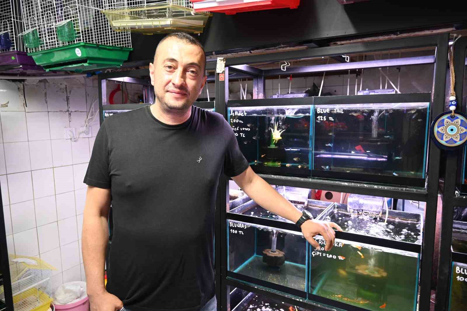 Evde Balık ya da Kuş Besliyorsanız Dikkat! Yaz İçin Özel Uyarılar