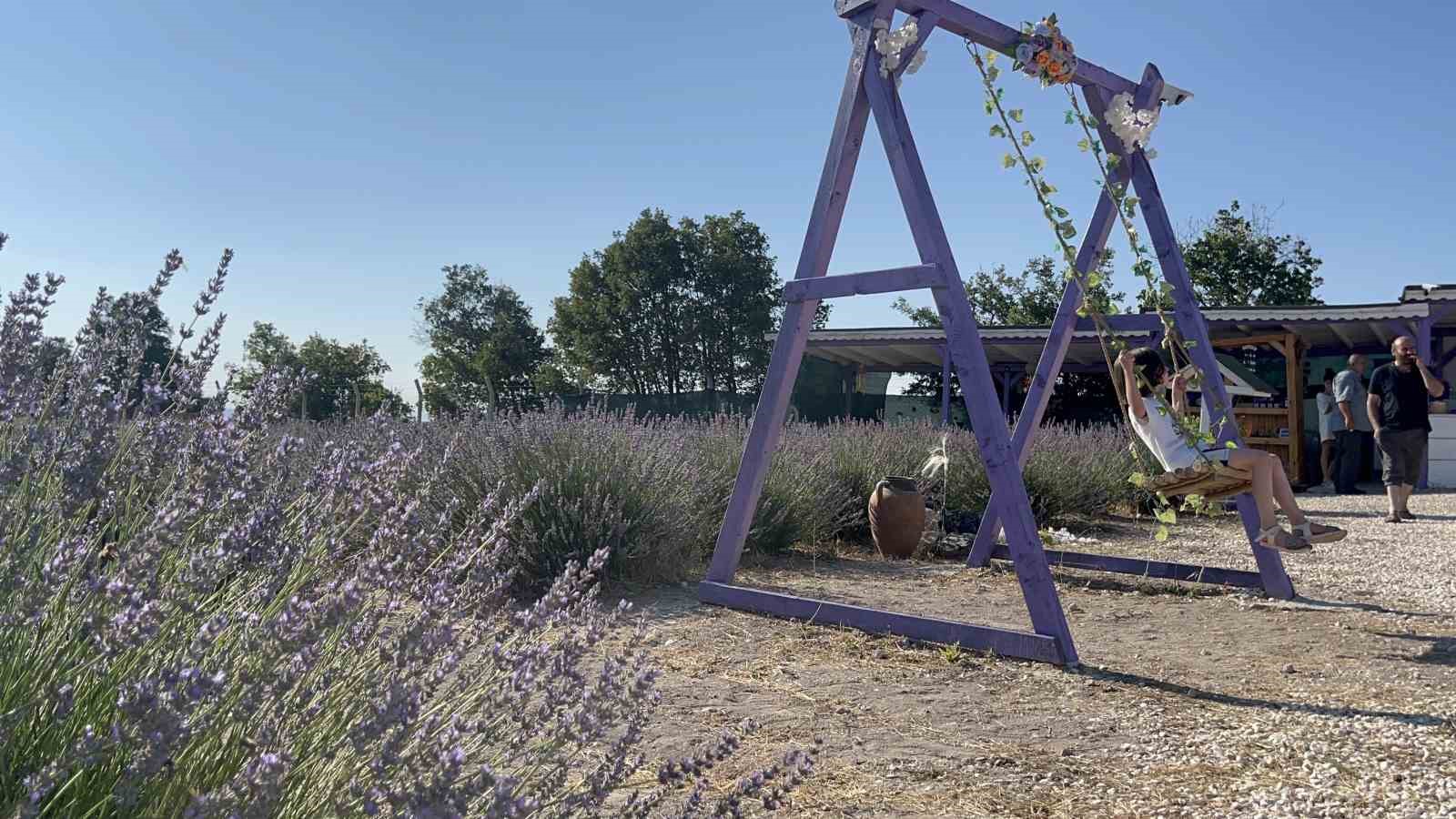 Ektiği lavantalar ile bahçesinde morun her tonunu barındırıyor