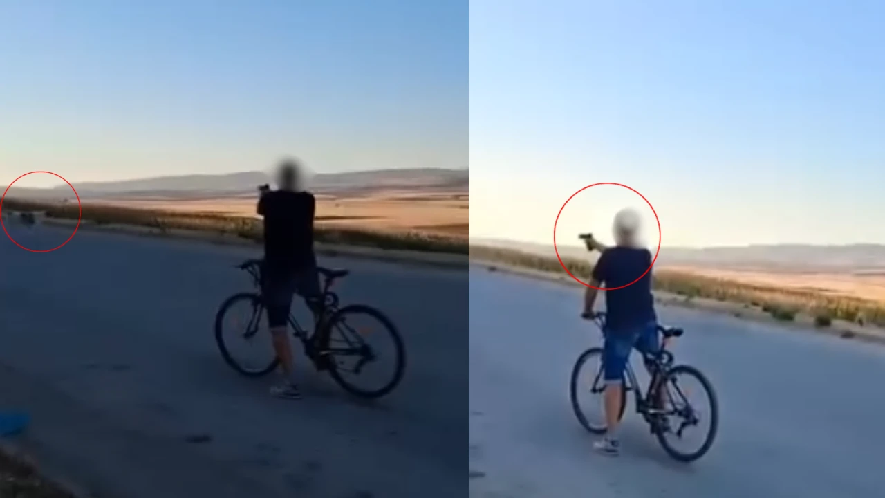 Eskişehir’de Vicdansızlık! Sokak Köpeğine Havalı Tabancayla Ateş Etti