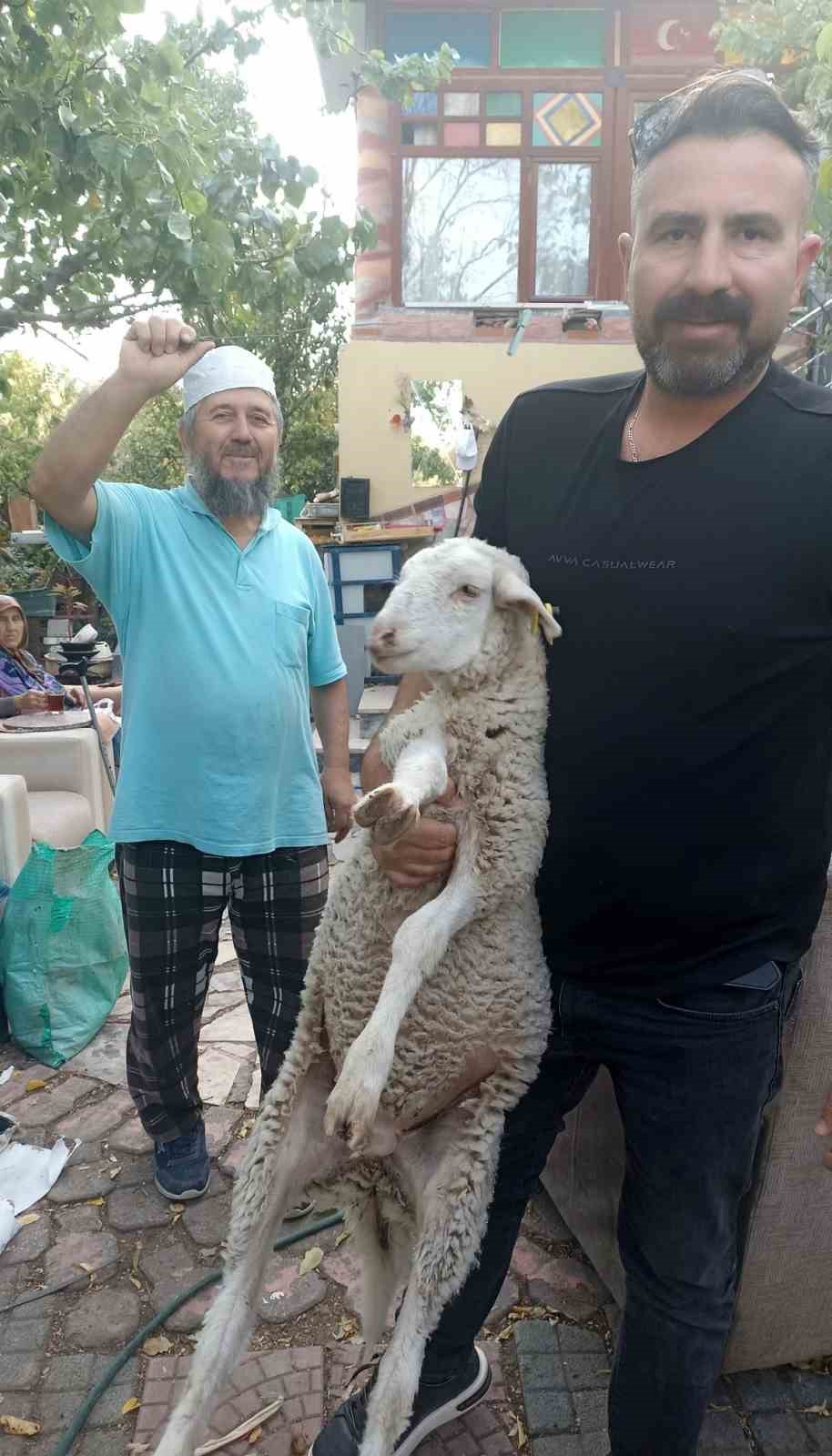 Kaybolan kuzuyu 2 gün misafir etti!