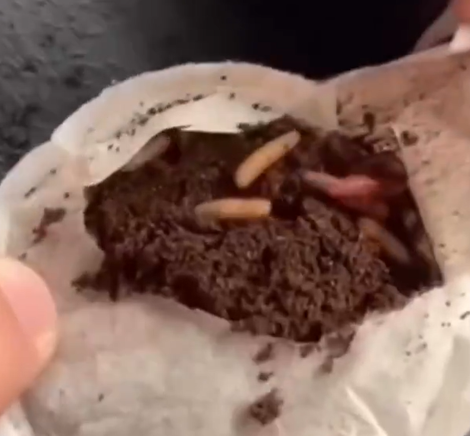 1,5 yıl daha süresi olan poşet çayın içinden çıkan canlılar tüketicileri endişelendirdi!