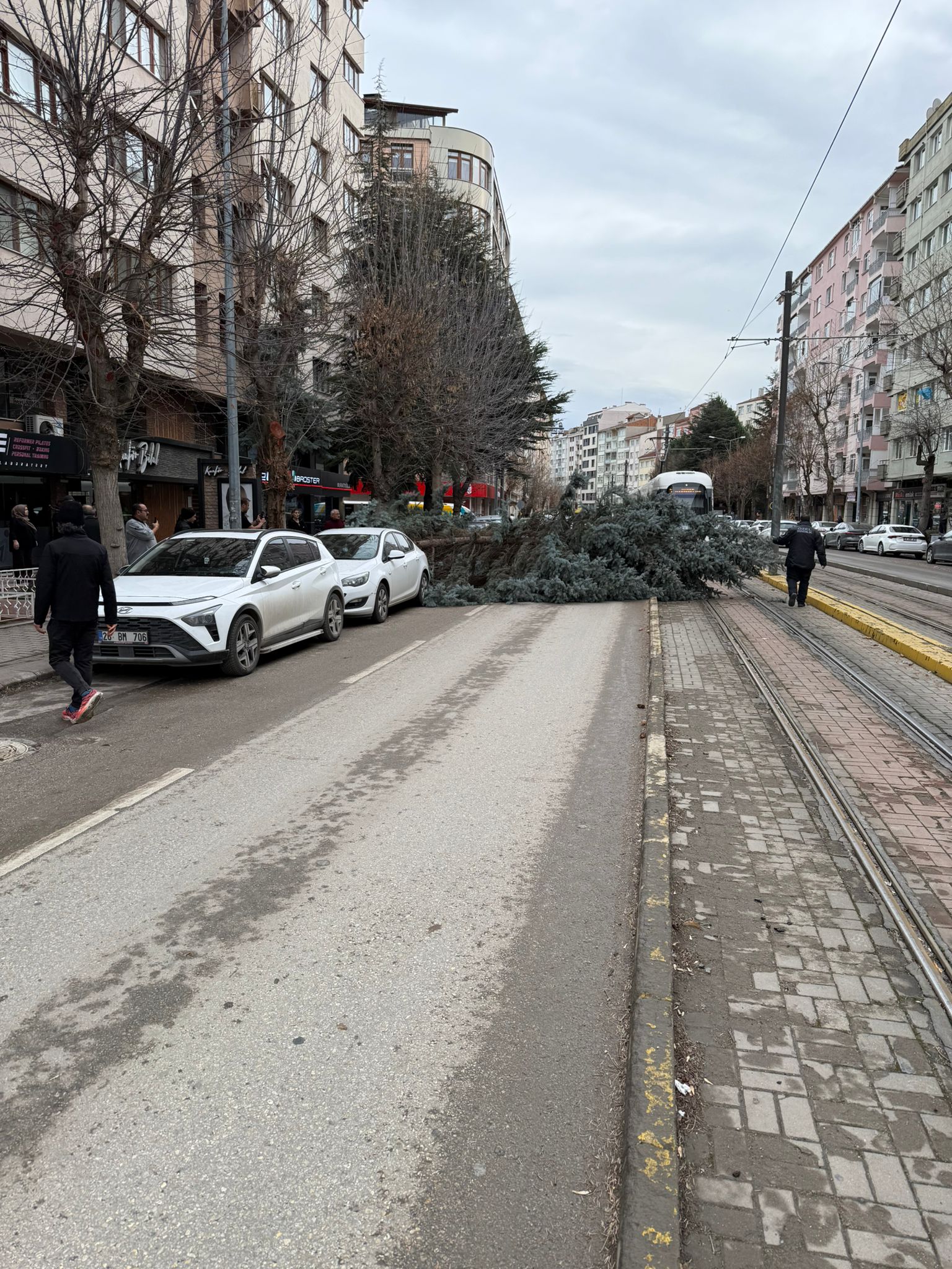 Şiddetli rüzgar ağacı devirdi tramvay seferleri durdu, araçlar mahsur kaldı!