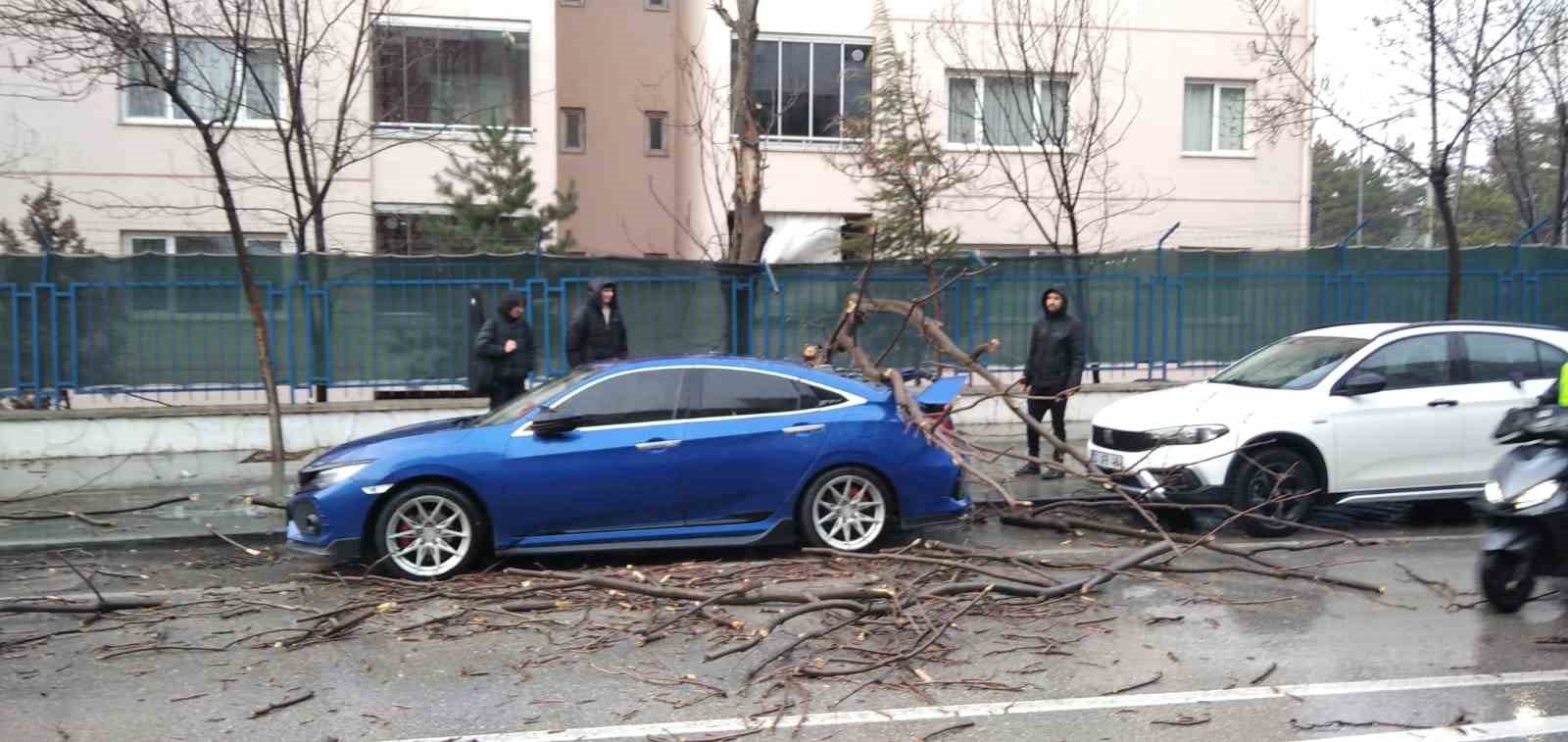 Isparta’da fırtına ağaçları devirdi, araçlar hasar gördü
