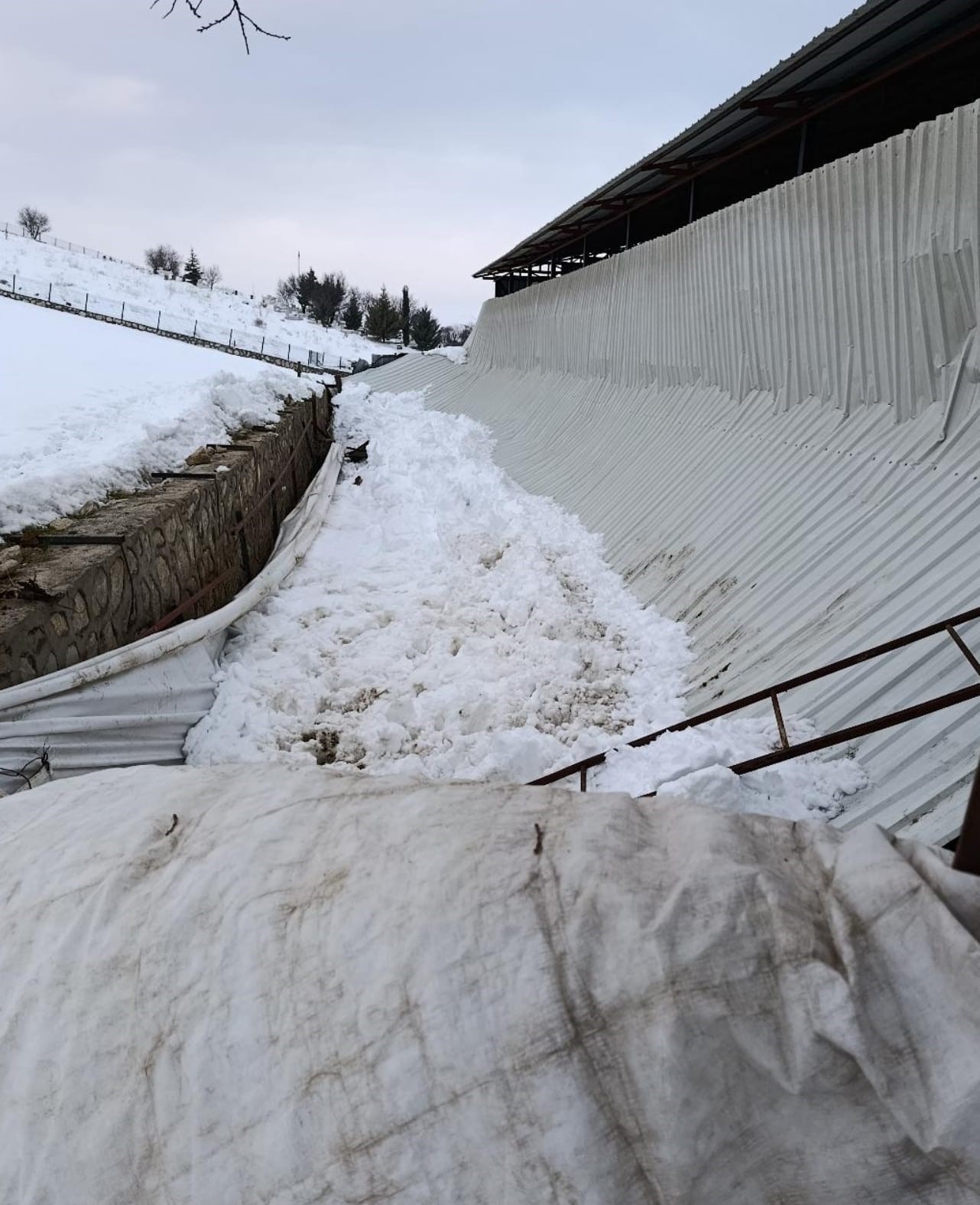 Elazığ’da ahırın tavanı çöktü