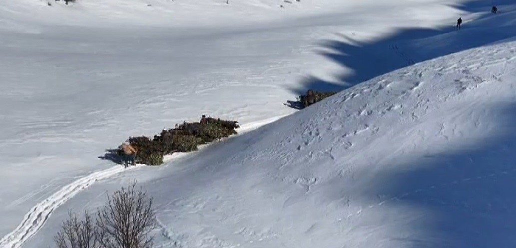 Bitlis’te hayvanlar için kızaklı yem mesaisi