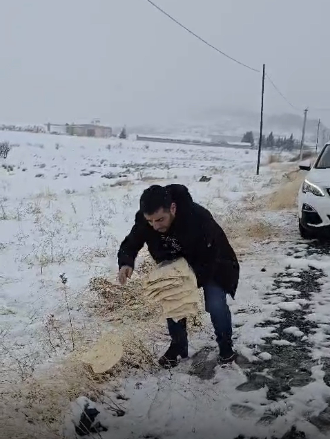 Çermik’te yaban hayvanları için doğaya yem bırakıldı