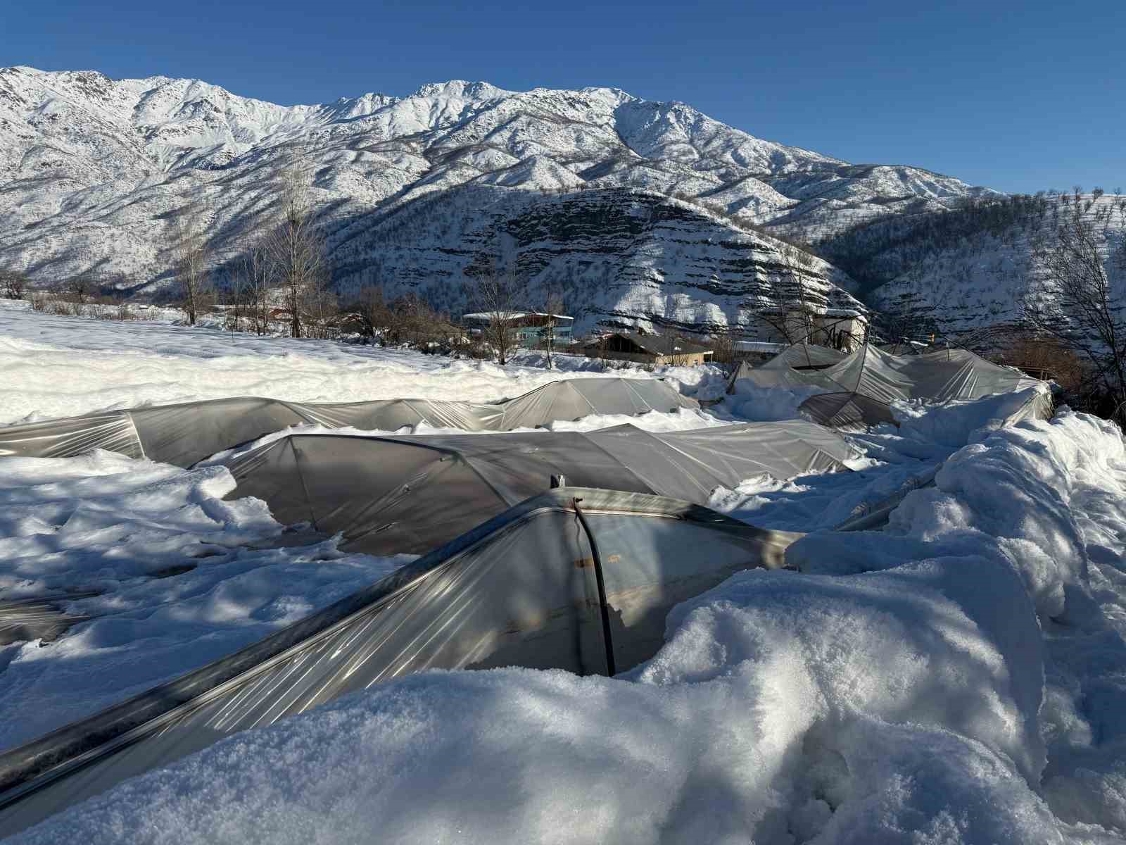 Derecik’te kardan dolayı 38 sera zarar gördü