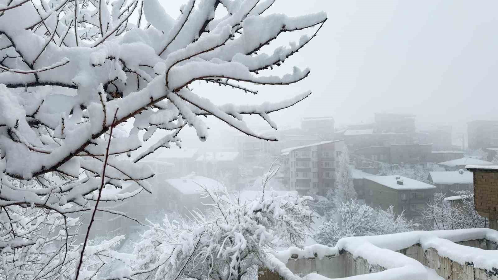 Hakkari’de kar afeti: Ekipler aralıksız çalışıyor