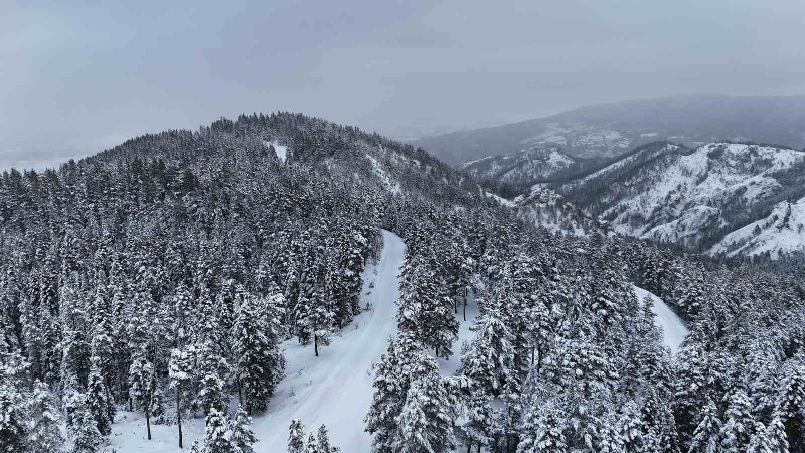 Kastamonu ormanlarında kış güzelliği