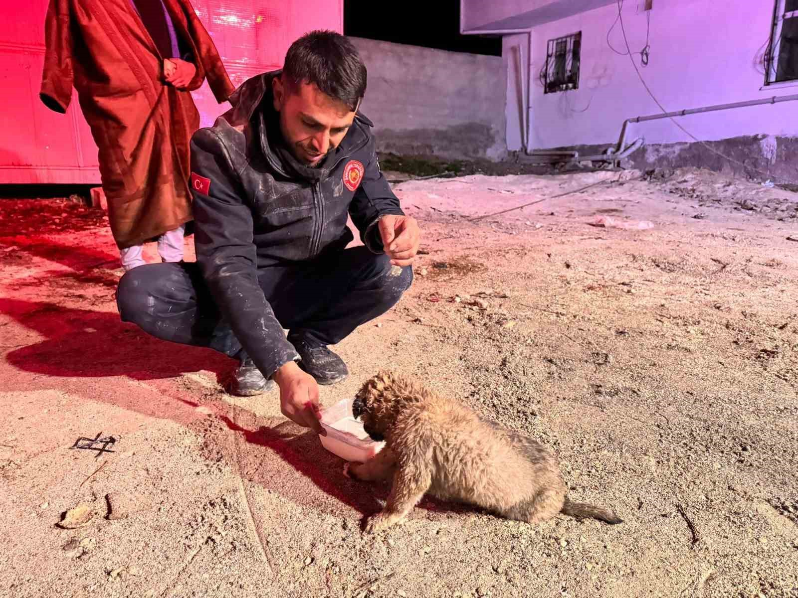 Şanlıurfa’da 20 metrelik sondaj kuyusuna düşen yavru köpek kurtarıldı