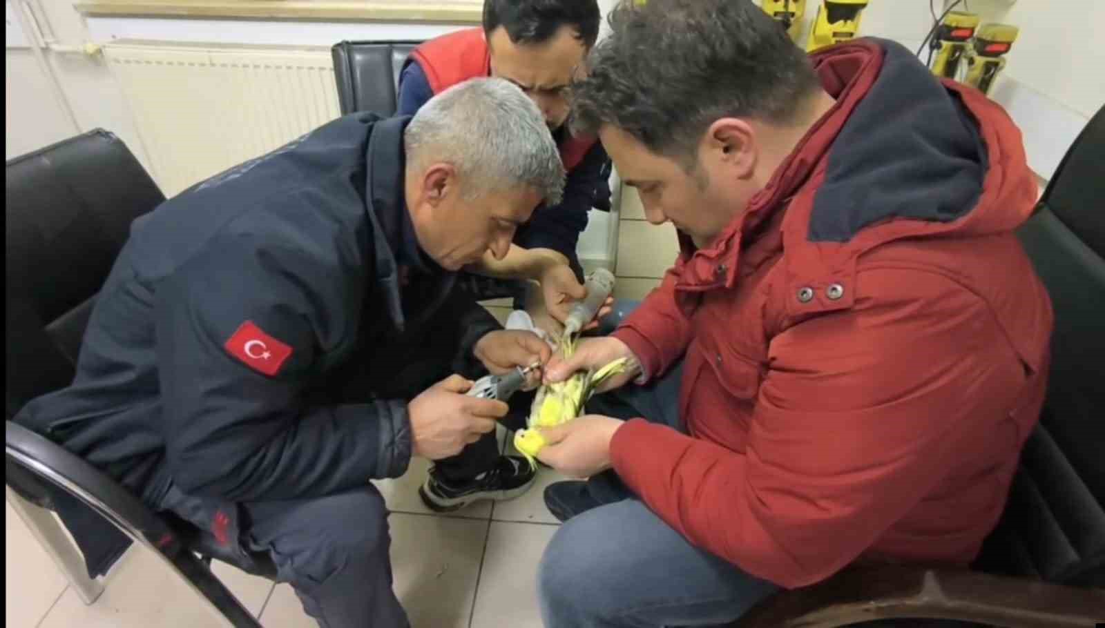 Şanlıurfa’da papağanın ayağına sıkışan halhal itfaiye ekiplerinin operasyonuyla çıkarıldı