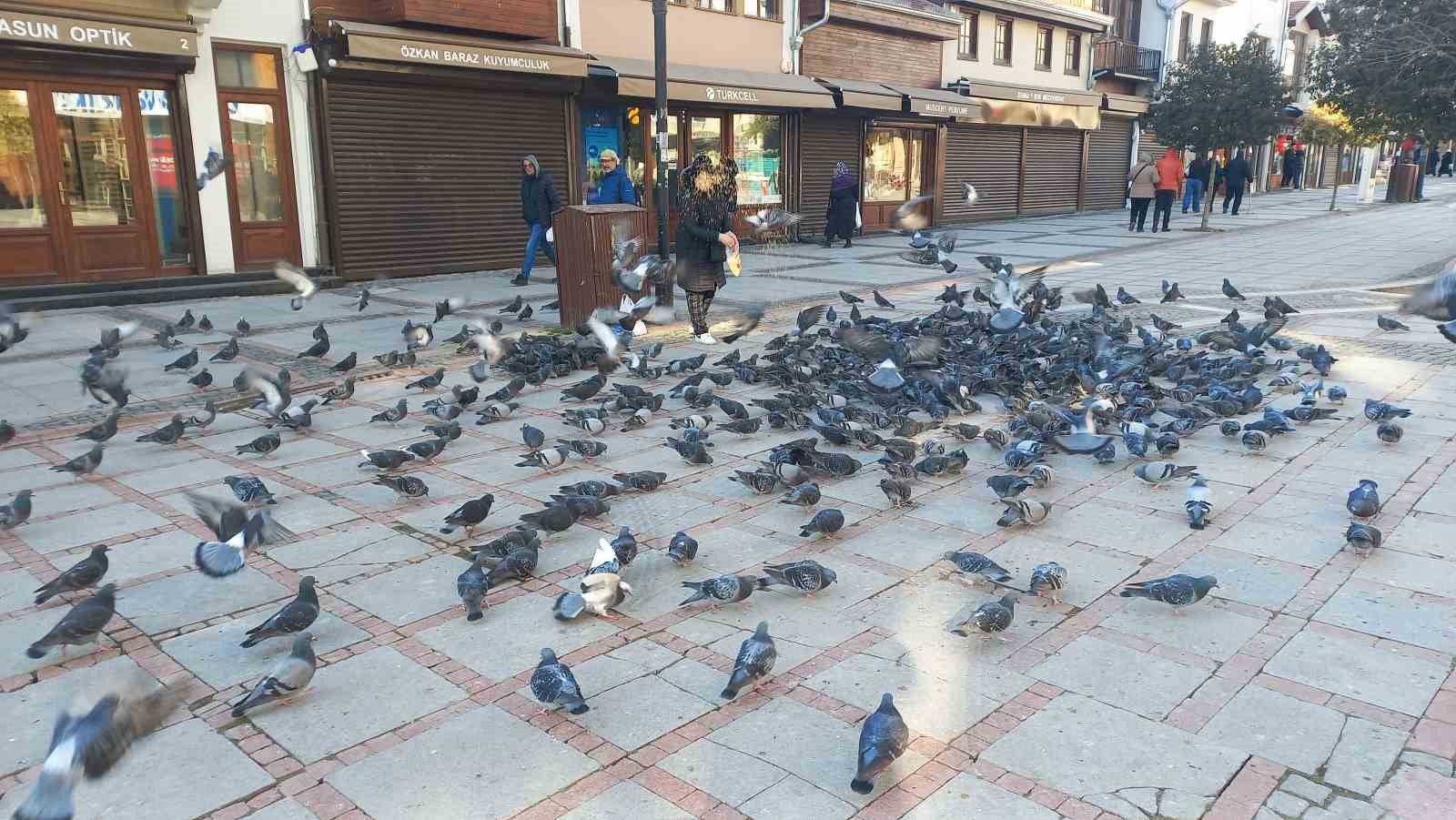 Soğukta üşüyen kuşlar için 5 kilometrelik şefkat yolculuğu