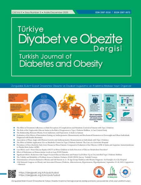Türkiye Diyabet ve Obezite Dergisi’nin 2025 Aralık sayısı yayımlandı