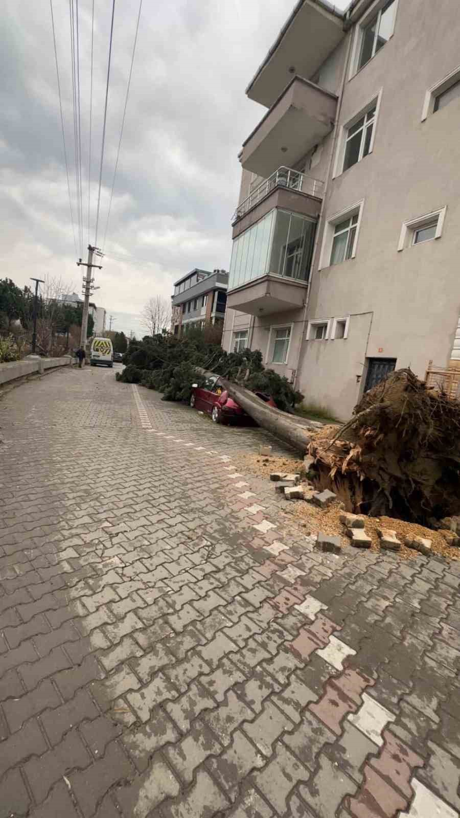 Yalova’da fırtına hayatı olumsuz etkiliyor