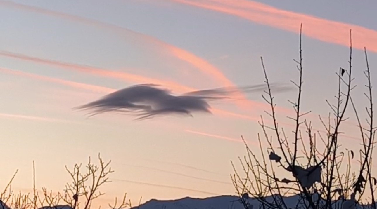 Yüksekova’da gökyüzünde doğa şöleni: Bir bulut onlarca silüet