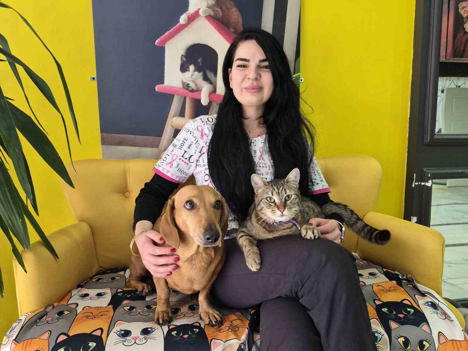 Veteriner kliniğindeki kedi ve köpek arasındaki ilginç dostluk