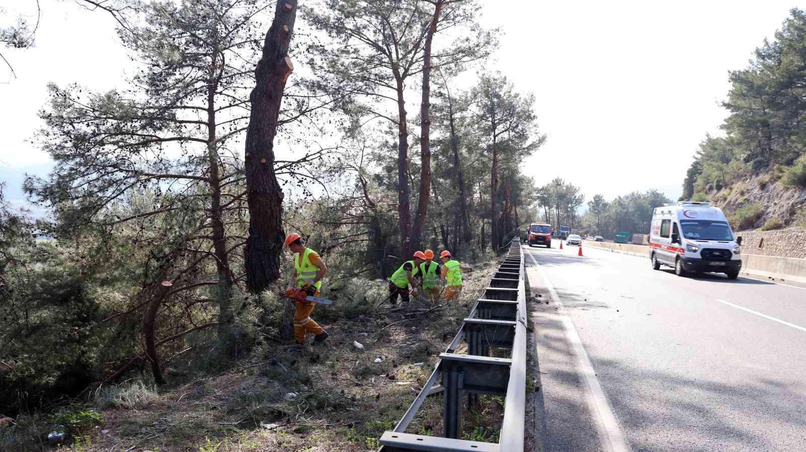 Muğla’da yangın sezonu öncesi Sakar Geçidi’nde riskli dallar temizleniyor