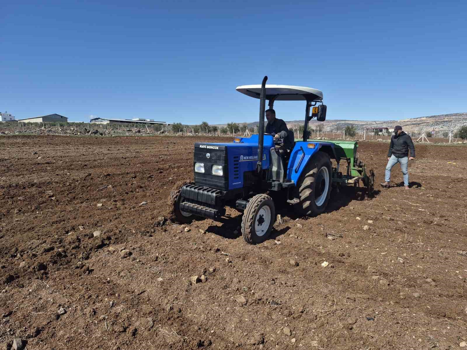 Gaziantep’te nohut ekimi başladı