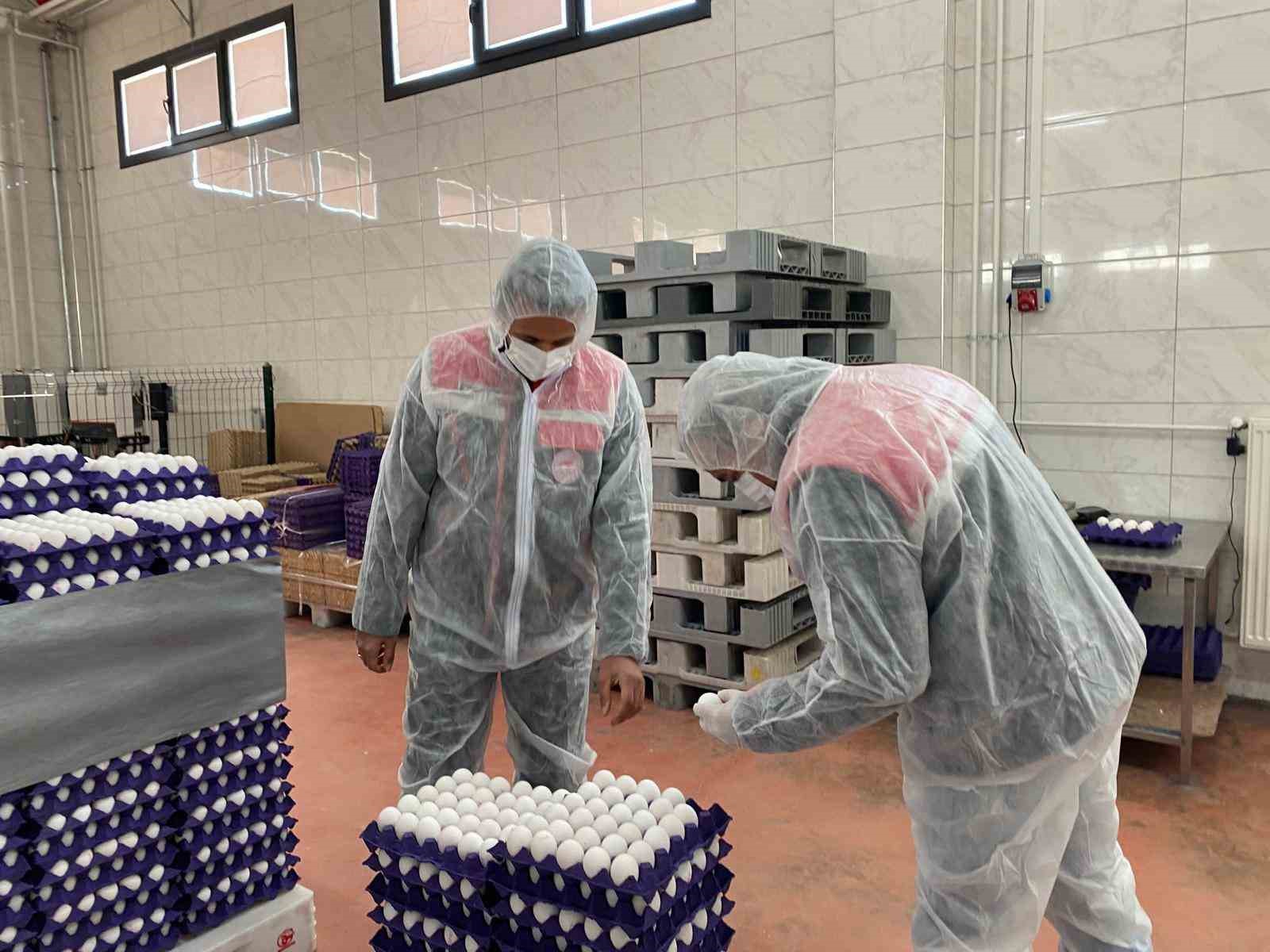 Yumurta paketlemesi yapan işletmelere yönelik denetim