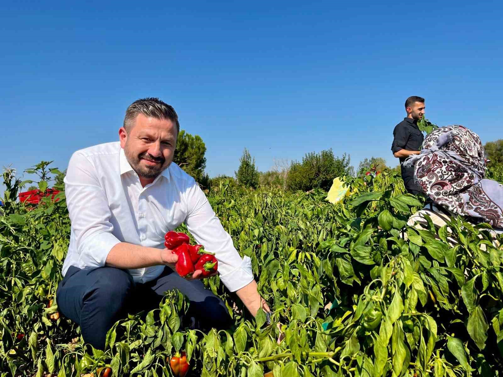 Başkan Aydemir’den, Balıkesir çiftçisine 867 milyon TL’lik müjde