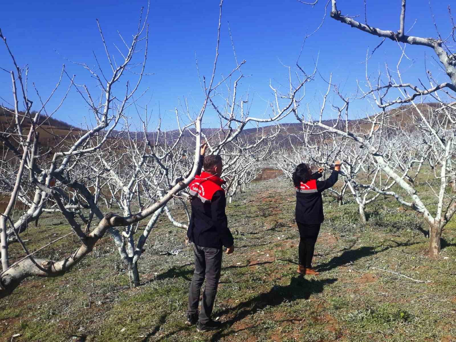 Çiftçilere bordo bulamacı uyarısı