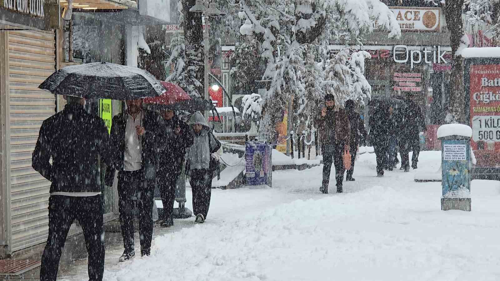 Van’da Mart sürprizi: Bahar beklerken kar kapıya dayandı