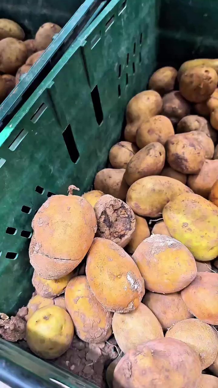 Market raflarında tarihi geçmiş tavuk ve içecek alarmı