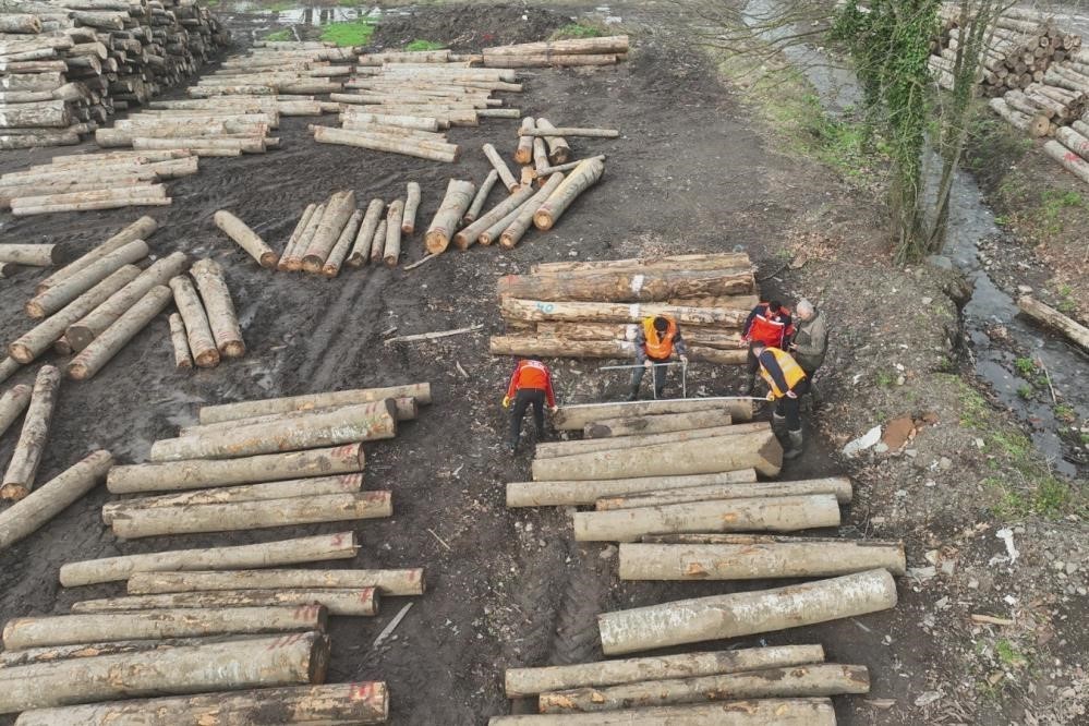 Düzce’den bin 909 ton orman ürünü ihraç edildi