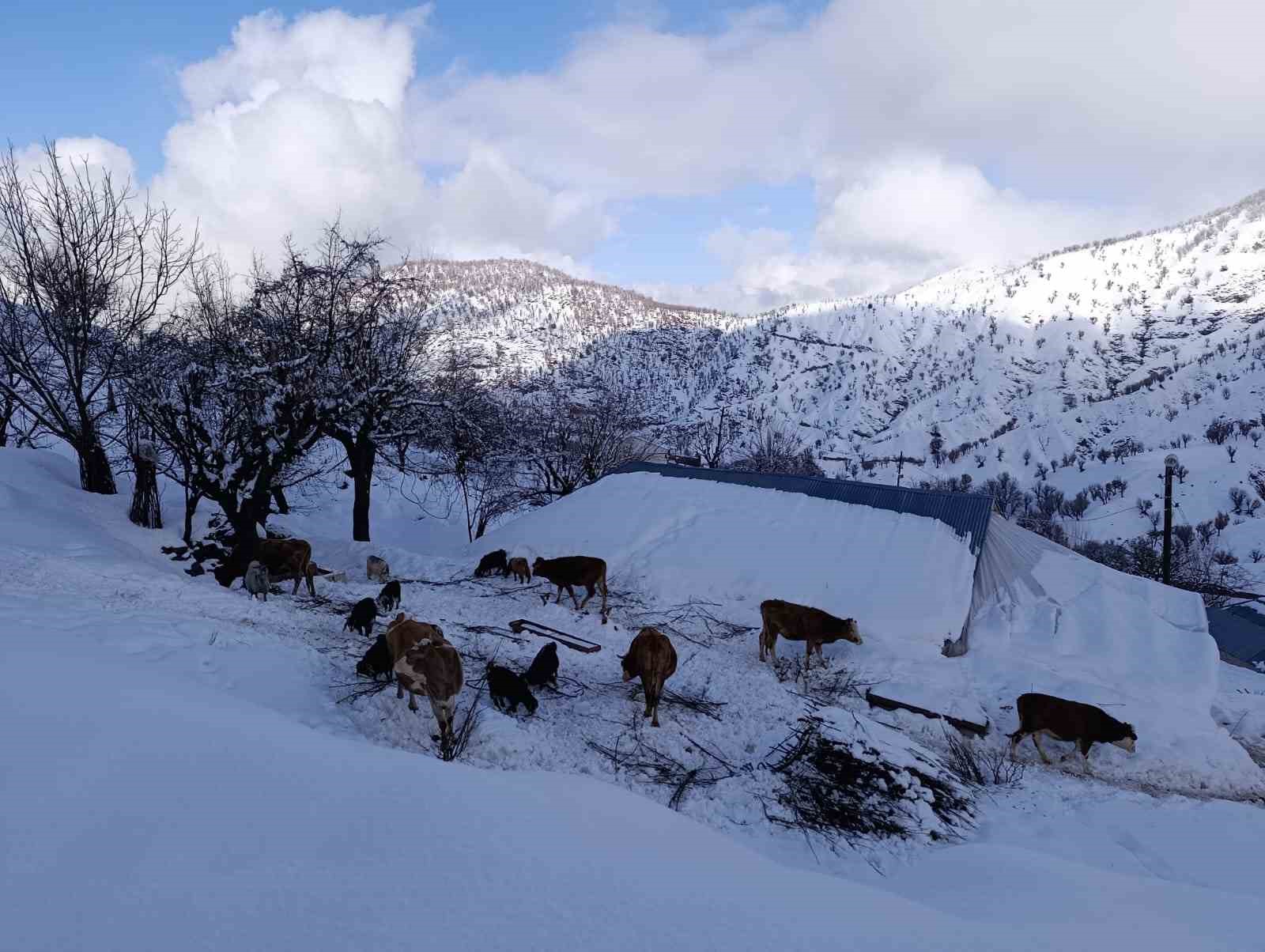 Batman’da mart ayında kar yağışı etkili oldu