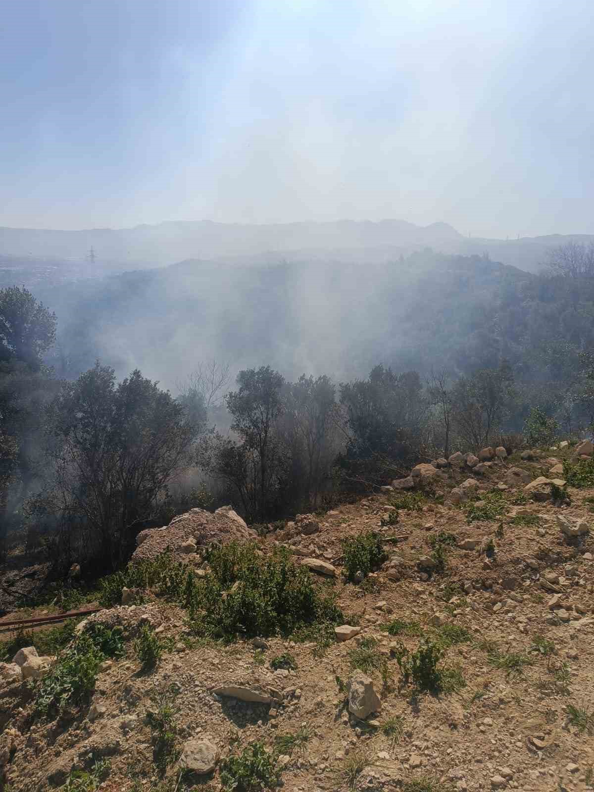 Samandağ’da ormanlık alanda çıkan yangın kısa sürede kontrol altına alındı