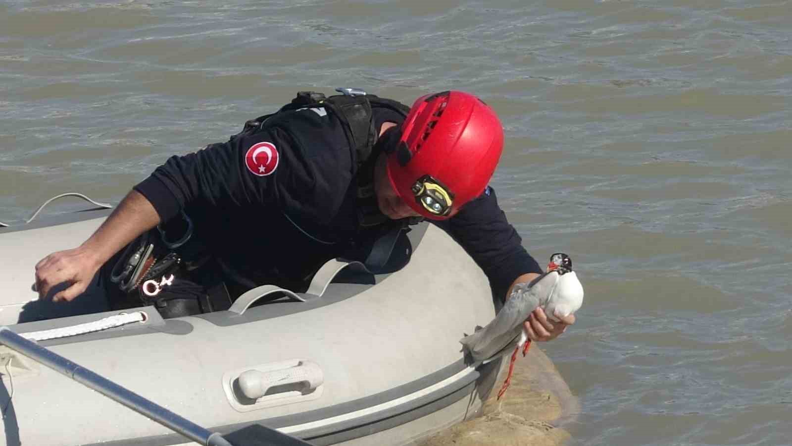 Antalya itfaiyesinden film gibi martı kurtarma operasyonu