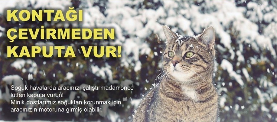 Soğuktan korunmak için girdiği araçta sıkışan kedi kurtarıldı