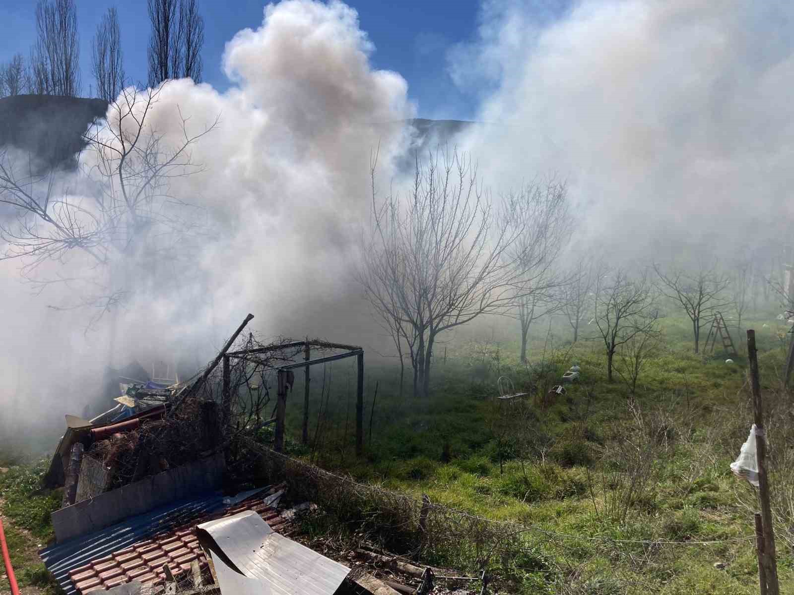 Bilecik’te bağ evinde çıkan yangın korkuttu