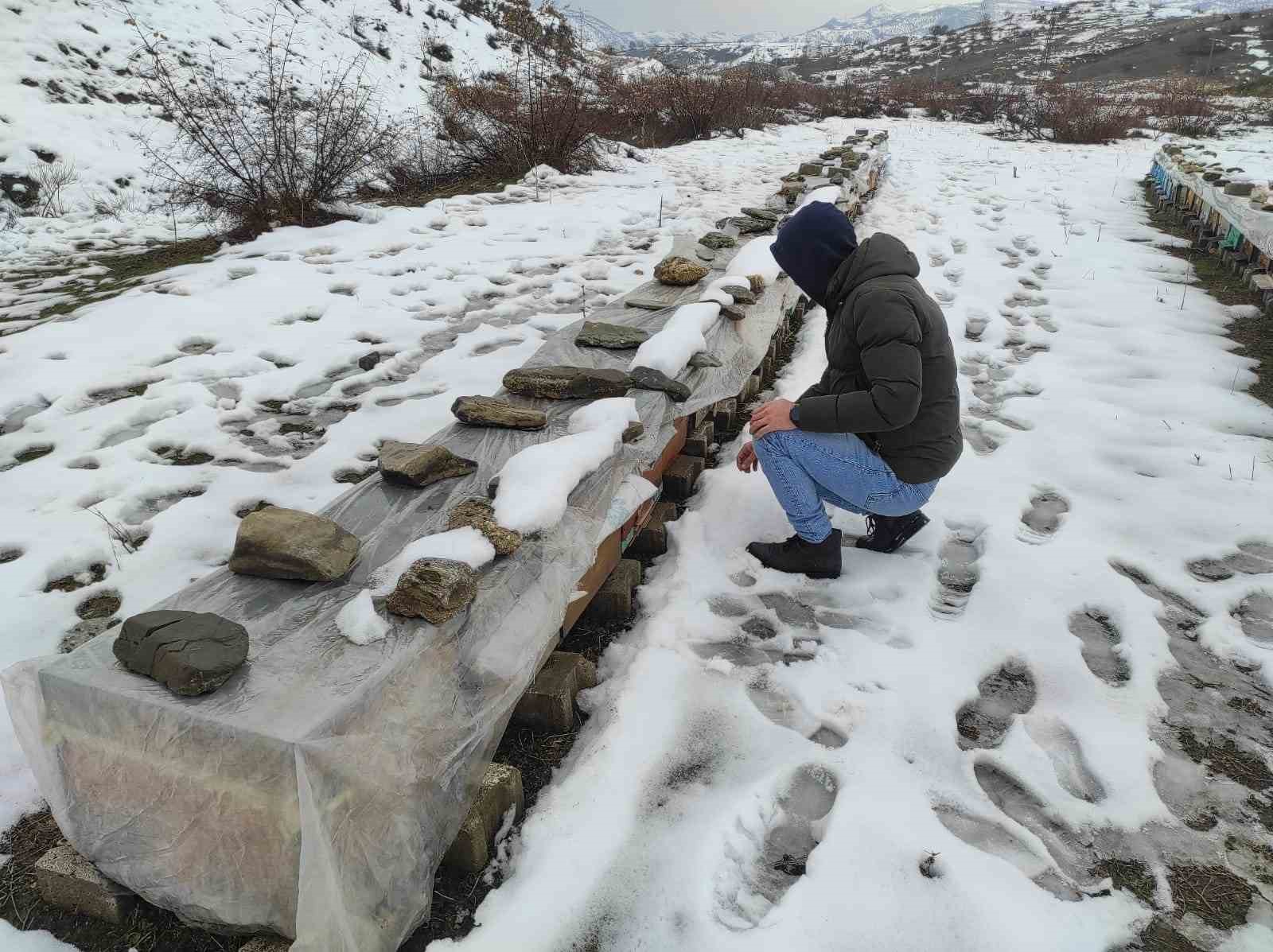 Birincilik getiren arılarını kış şartlarında özenle koruyor