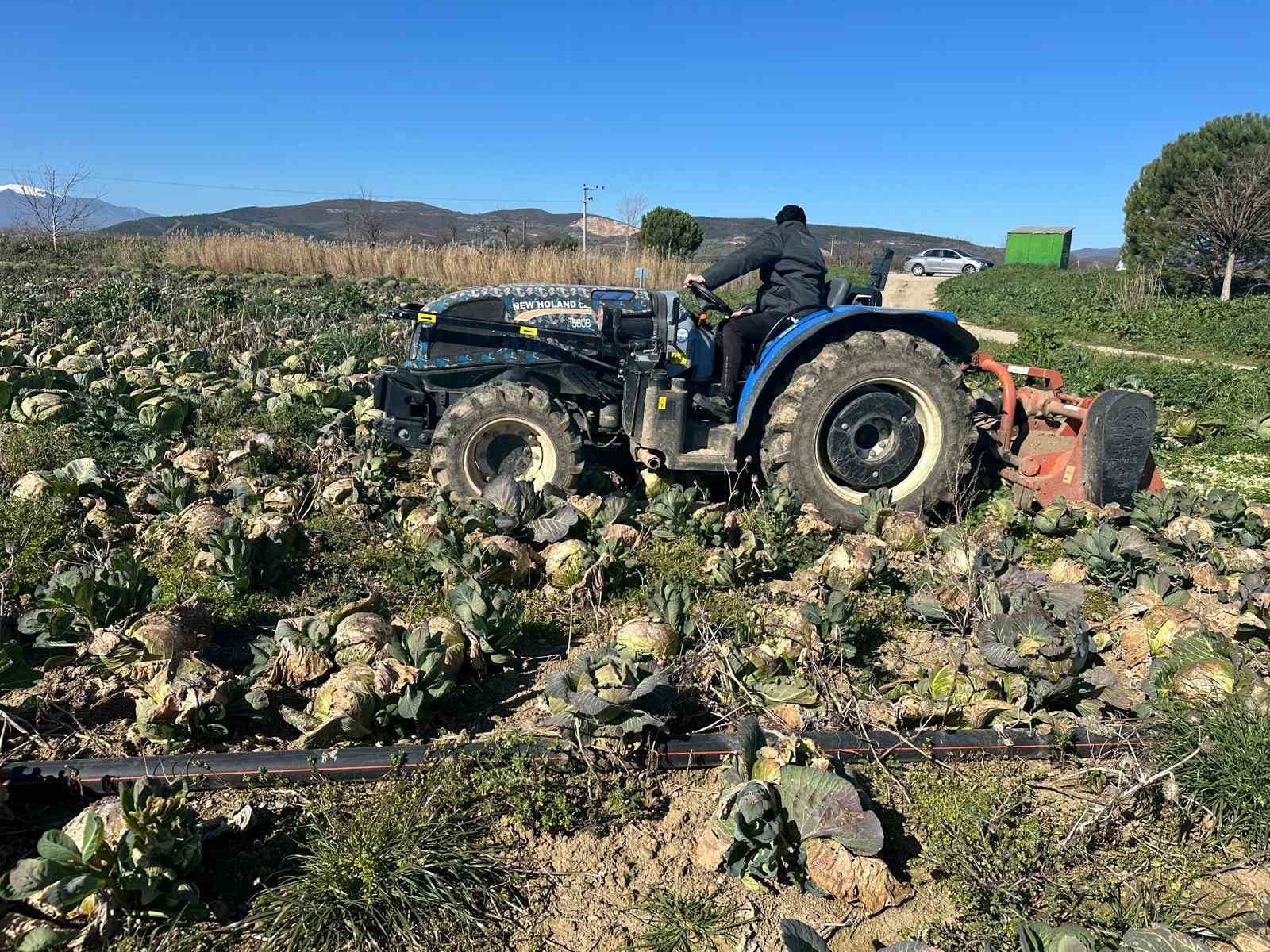 Pazarda 70 lira ama yüzbinlercesi tarlada çürüdü: Üreticiler Tarım Kredi’ye çağrı yaptı