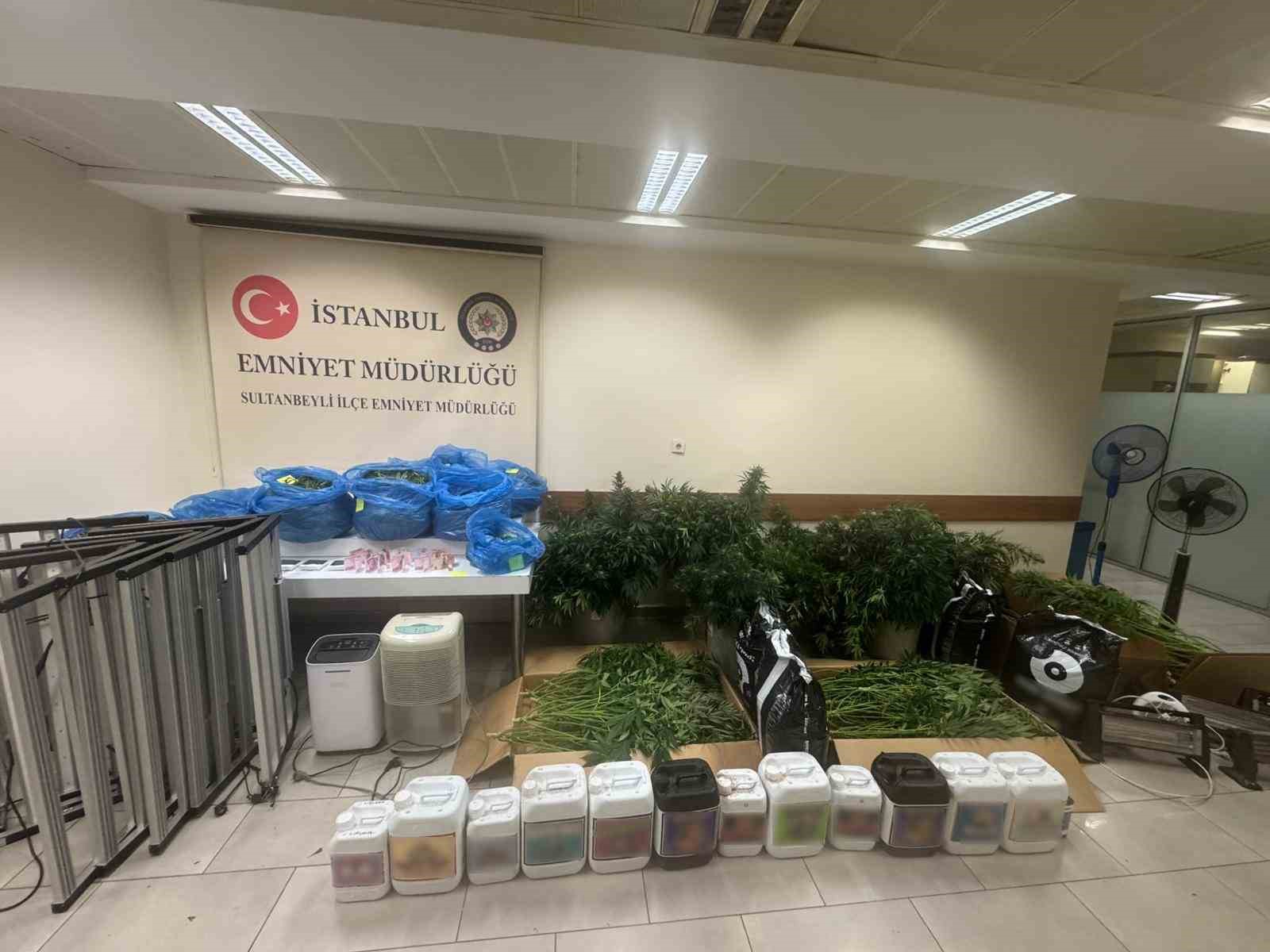 Sultanbeyli’de kenevir serasına baskın: 21 kilo Hint keneviri ele geçirildi