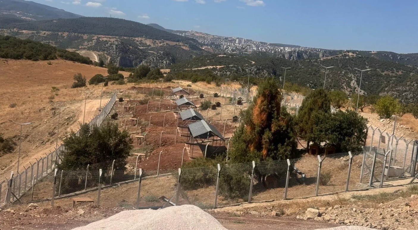 Milyonluk Sokak Hayvanları Doğal Yaşam Alanı ortada kaldı