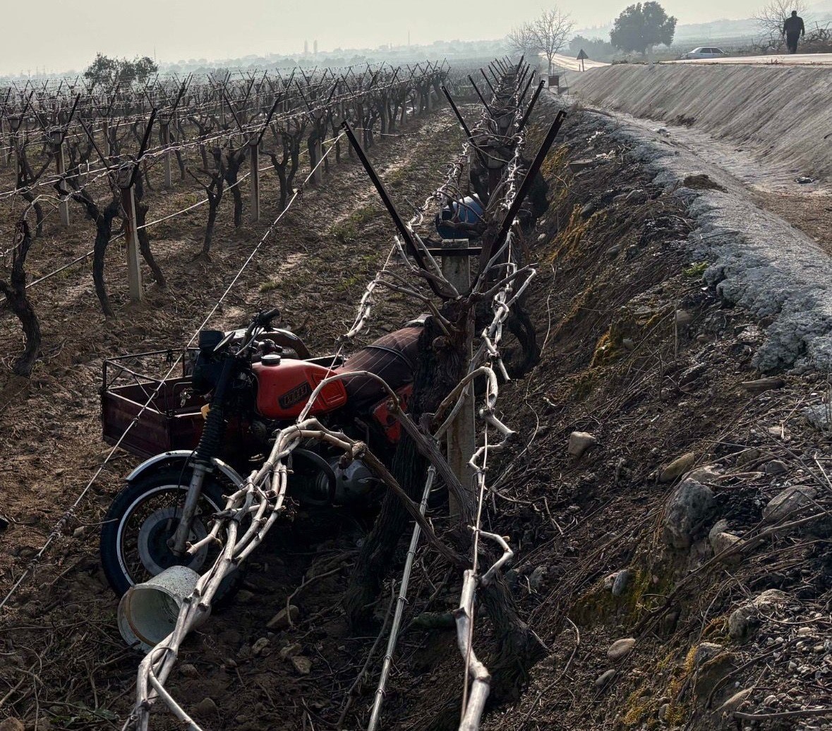 Manisa’da sepetli motosiklet üzüm bağına uçtu: 1 ölü