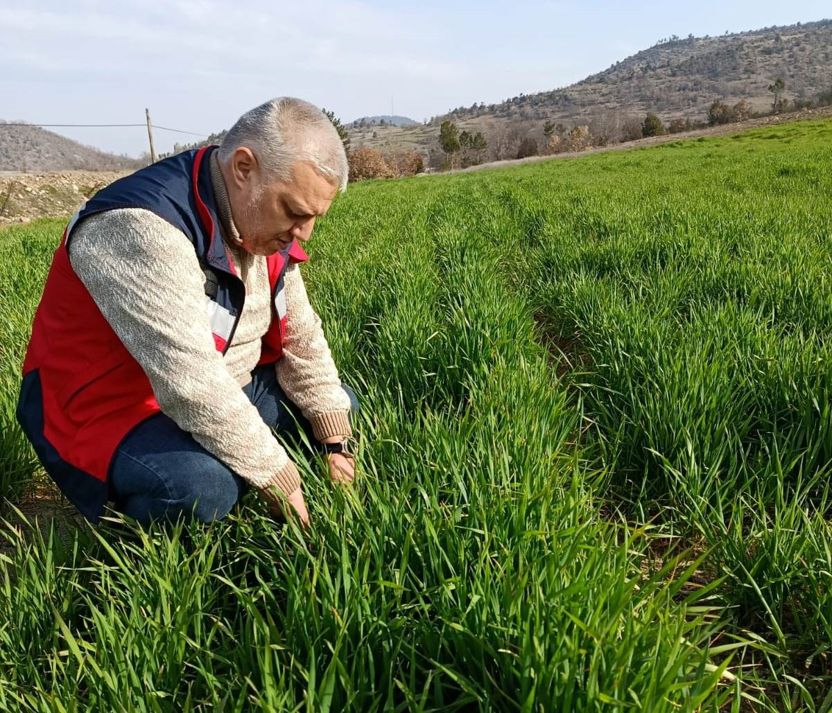 Simav’da tarımsal çalışmalar sürüyor