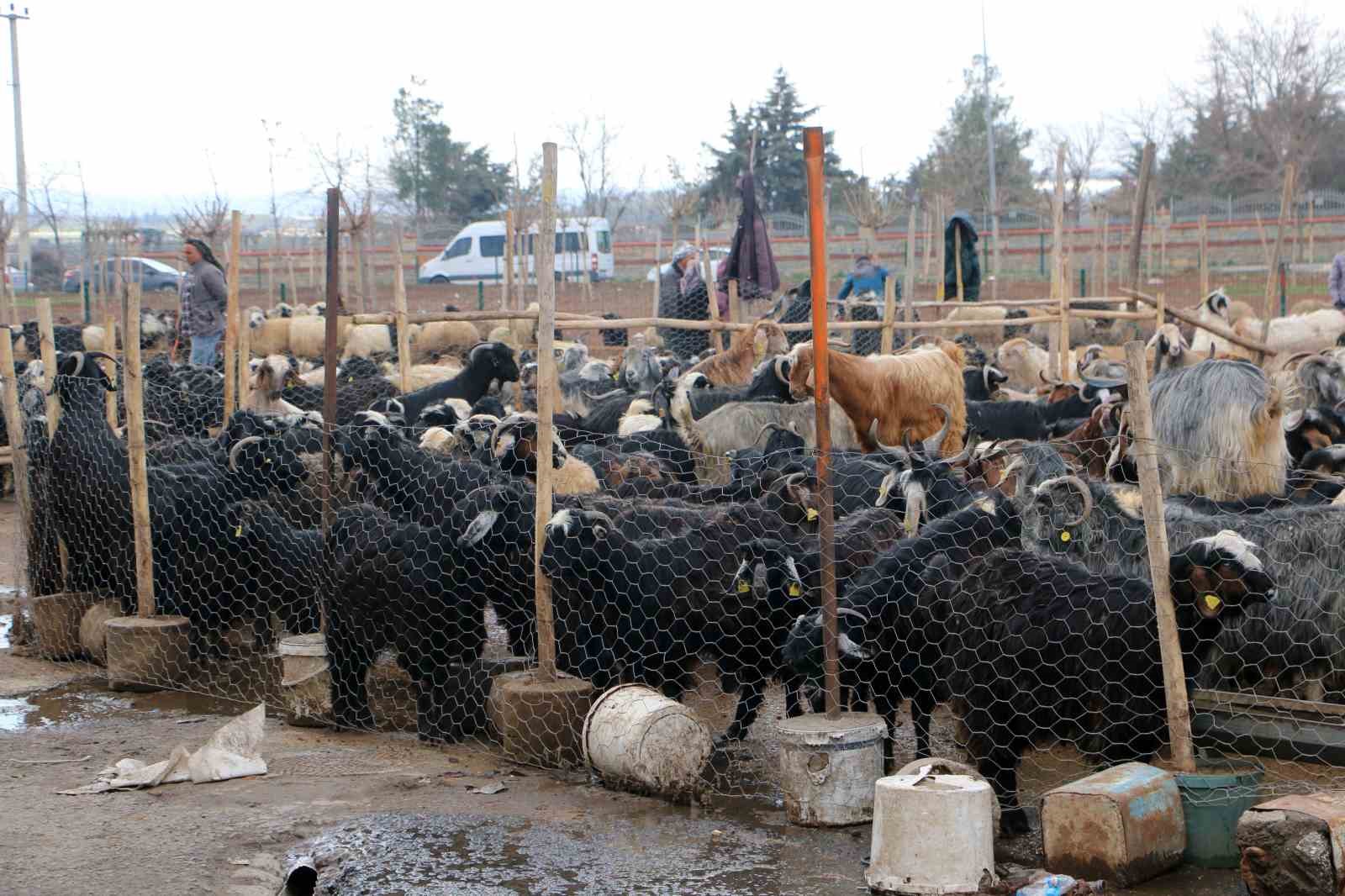 Diyarbakır’da vatandaşlar sofralara bırakacağı eti canlı hayvan pazarından almayı tercih ediyor