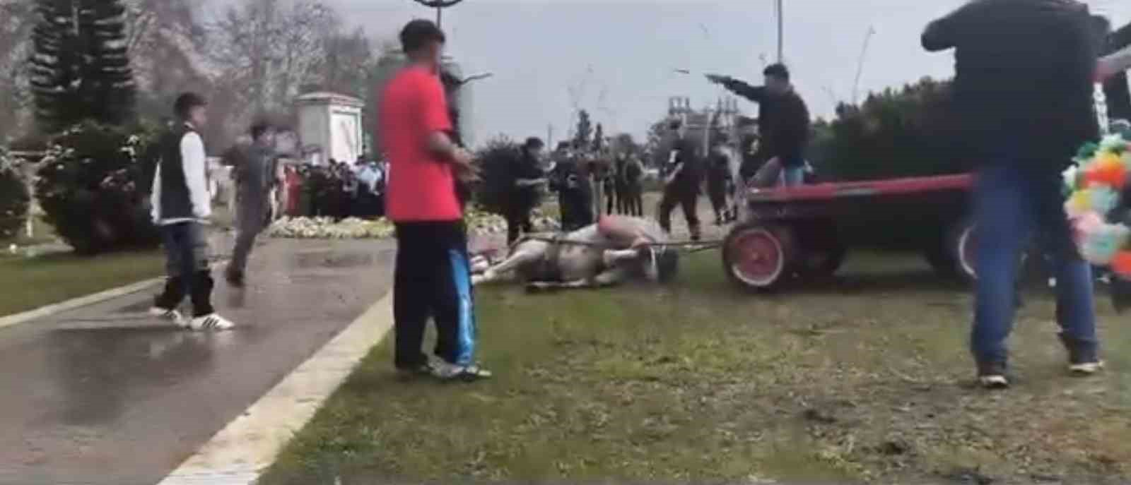 Atını sopa ve tekmeyle bayılttı