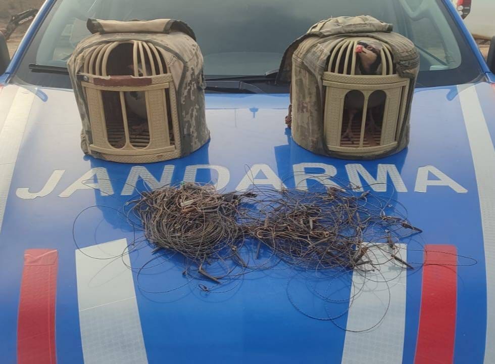 Kırşehir’de kaçak keklik avcıları yakalandı