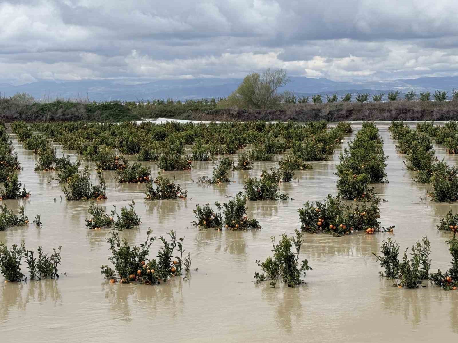 Yağışlar tarım arazilerini vurdu
