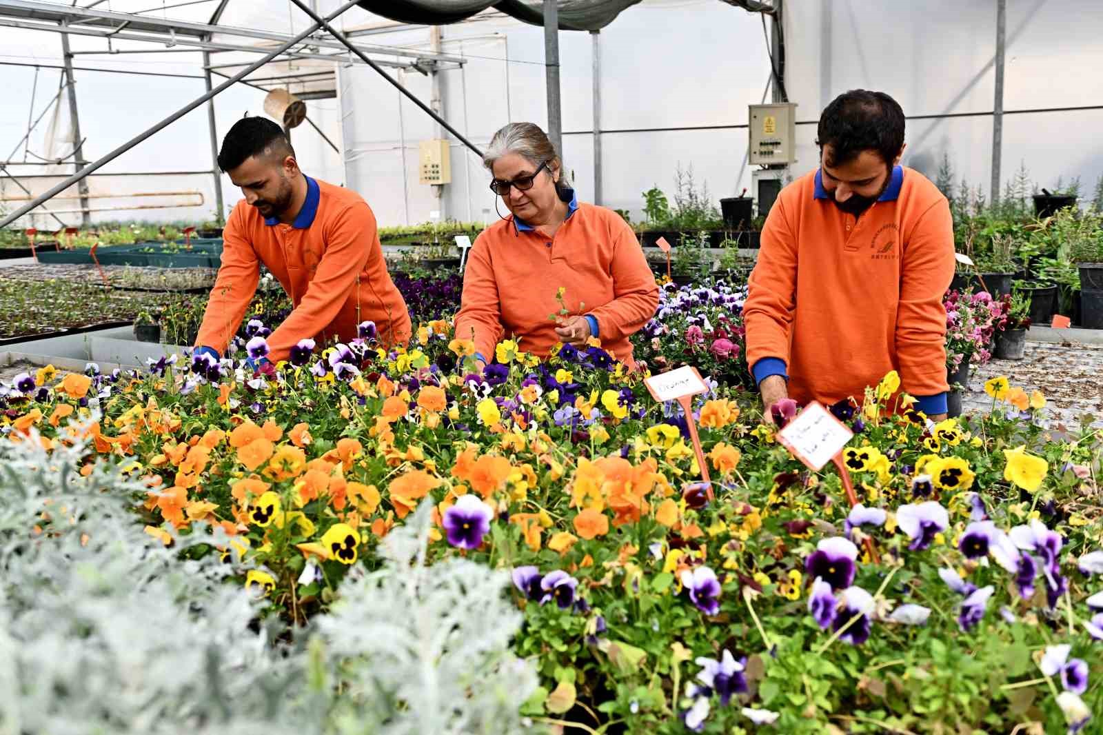 Muratpaşa’dan örnek bitki üretim modeli